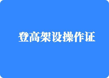 拔插拔插黄色网站登高架设操作证